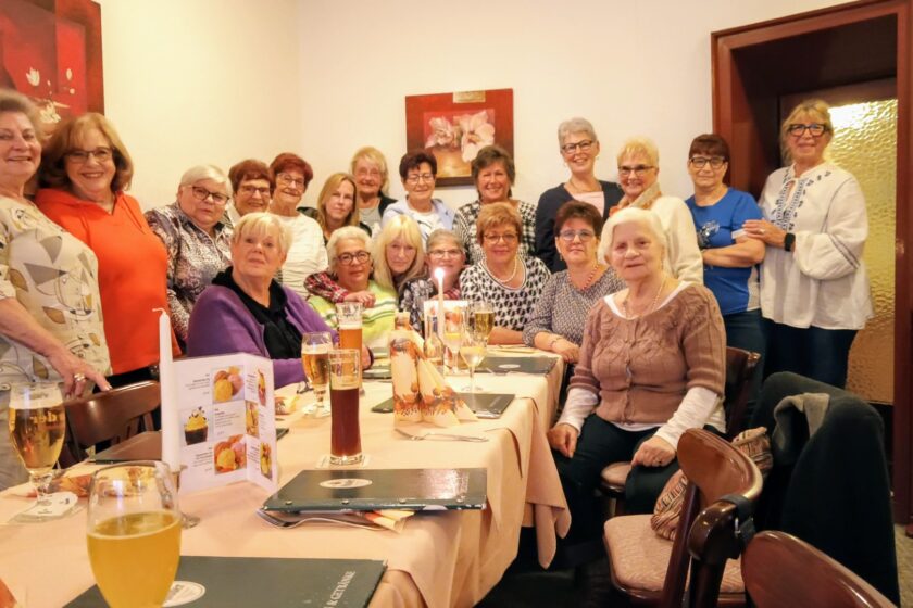 40 Jahre Springmäuse